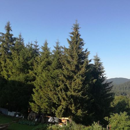 Kuca Za Odmor "Jasna" Apartman Crni Lug Kültér fotó