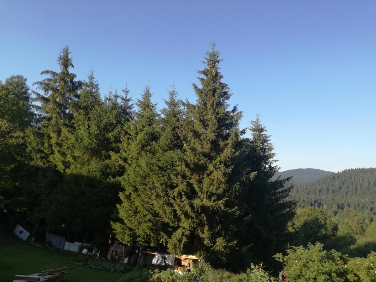 Kuca Za Odmor "Jasna" Apartman Crni Lug Kültér fotó