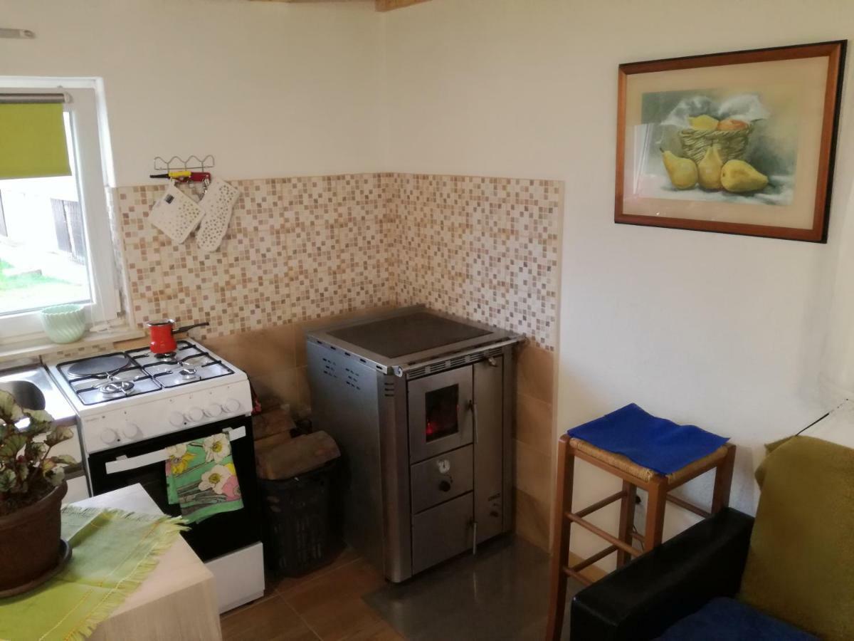 Kuca Za Odmor "Jasna" Apartman Crni Lug Kültér fotó