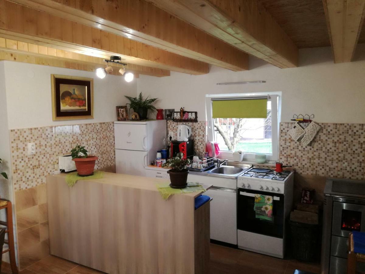 Kuca Za Odmor "Jasna" Apartman Crni Lug Kültér fotó