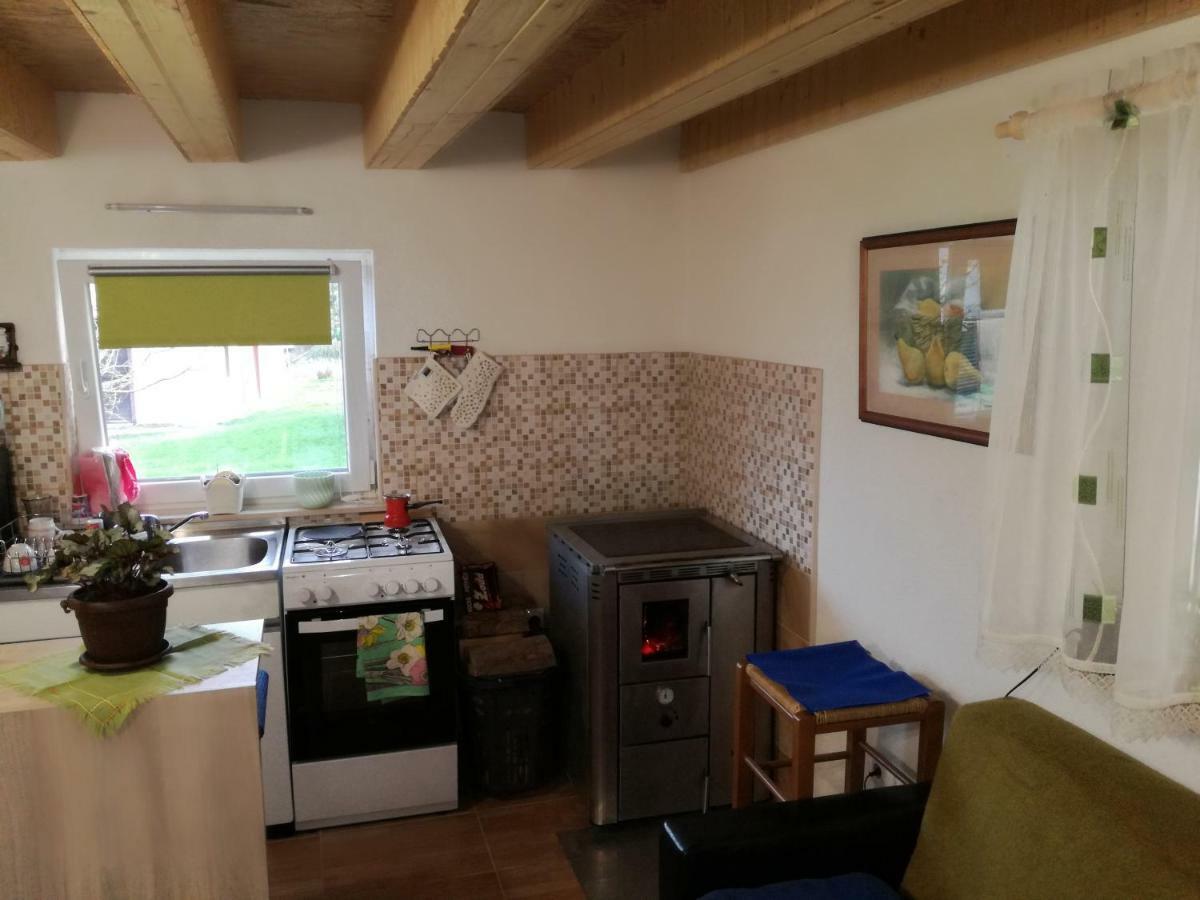 Kuca Za Odmor "Jasna" Apartman Crni Lug Kültér fotó