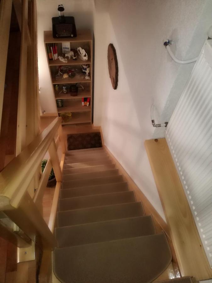 Kuca Za Odmor "Jasna" Apartman Crni Lug Kültér fotó